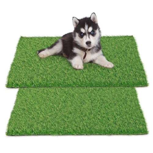 STARROAD-TIM 30 x 20 inches 2 Pack Fake Grass Pee