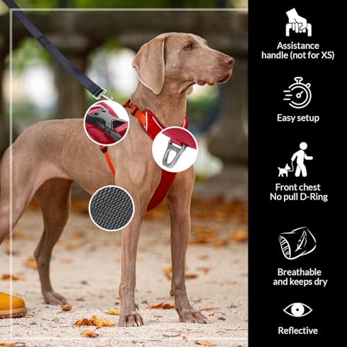 KYFLIE, No-Pull Reflective Dog Harness for Training & Daily Walks, Adjustable & Breathable Y Harness - Image 2