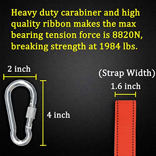 Boaton Hunting Safety Harness, Tree Climbing Belt, Linemans Belt, Add Level of Safety for Hunting, Hanging Stand Or Step, Trimming Tree, Putting Up Deer Stand, Installing Steps, Ladder Or Climbing