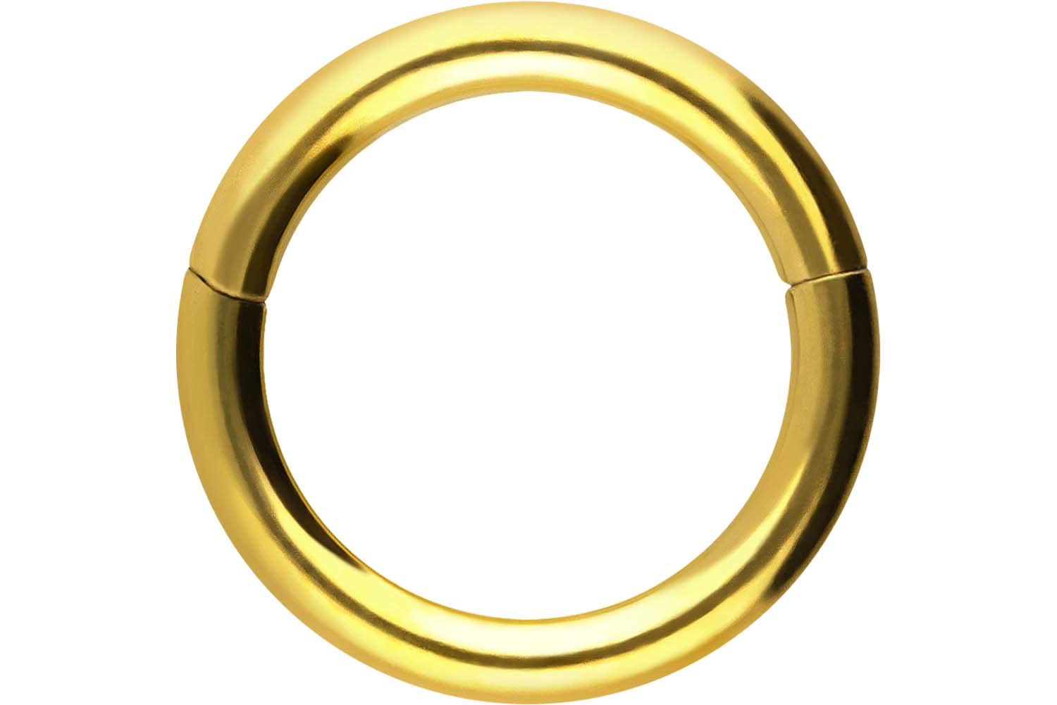 PIERCINGLINE Anillo segmento Clicker de acero quirúrgico – Piercing en oro, plata, rosa, negro o azul – para nariz, tabique, oreja, hélice o tragus — view 121
