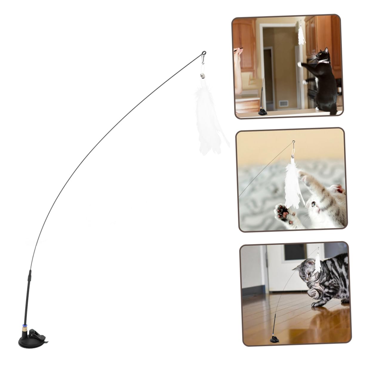 Milisten 4ensembles Jouet Interactif pour Chat avec Ventouse Et Plumes De à Attraper pour Intérieur Félins