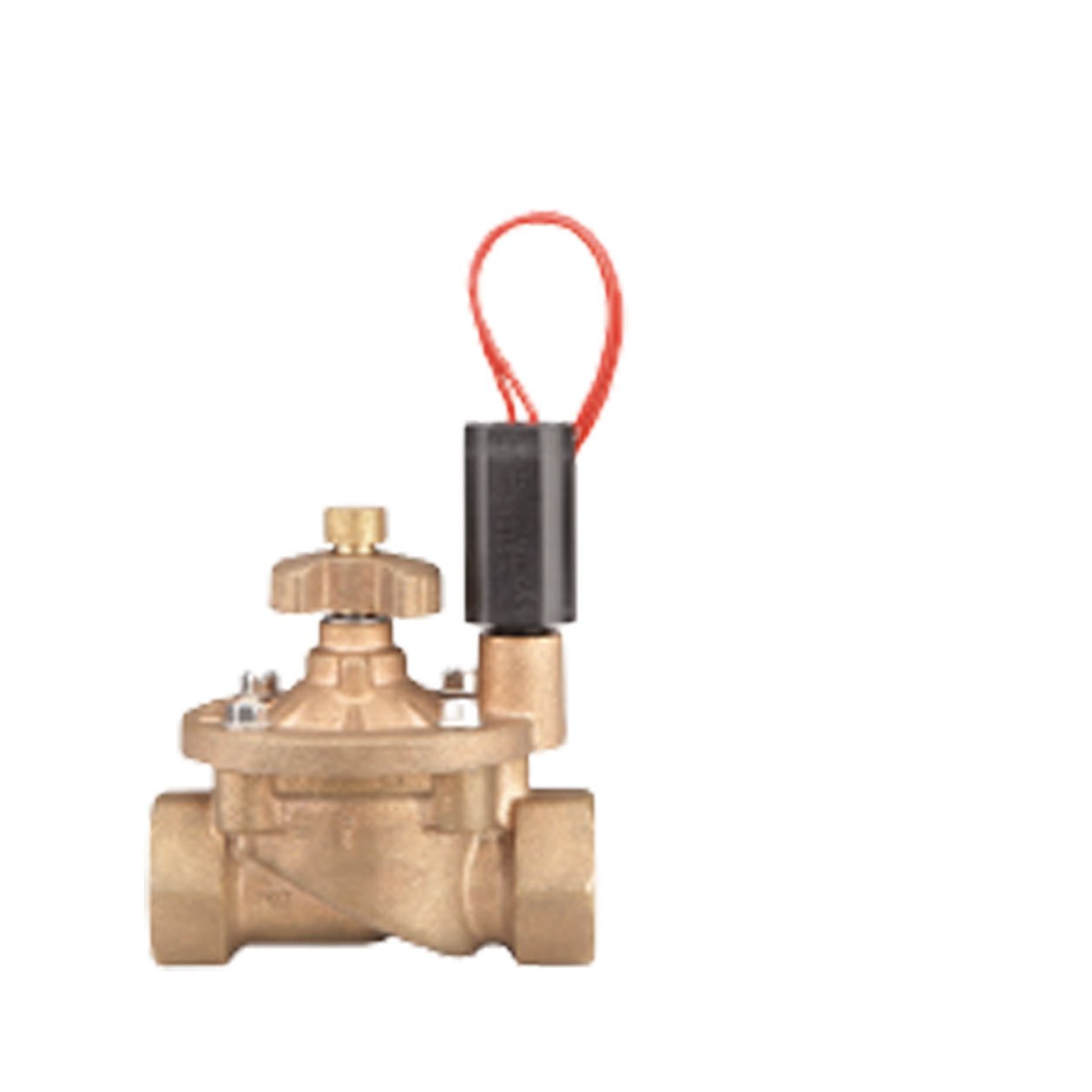 HunterSprinkler IBV101GFS IBV Series Globe Valve with Filter Sentry, 1-Inch