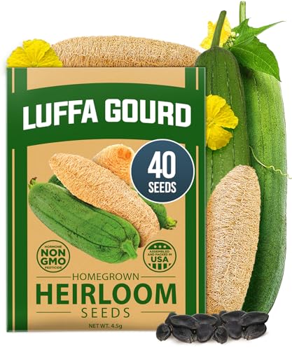 Image of HOME GROWN Luffa Seeds 40 Heirloom Non-GMO Loofah Gourd Seeds for Planting, High Germination, Grow Your Own Natural Bath Sponges, Edible Vining Vegetable Garden, Harvest Young Gourd (Luffa aegyptiaca)