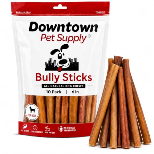 Image of Downtown Pet Supply Bully Sticks for Dogs - Natural 6 Inch Beef Chews, Odor-Free & Rawhide-Free, Long Lasting Dog Treats for Aggressive Chewers - Healthy, Safe & Delicious Chews Dogs Love (10 Pack)