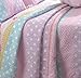 Greenland Home 100% Cotton Fashion Quilt Collection, Prewashed, Reversible Quilt Set, 2-Piece Twin/XL, Polka Dot Stripe