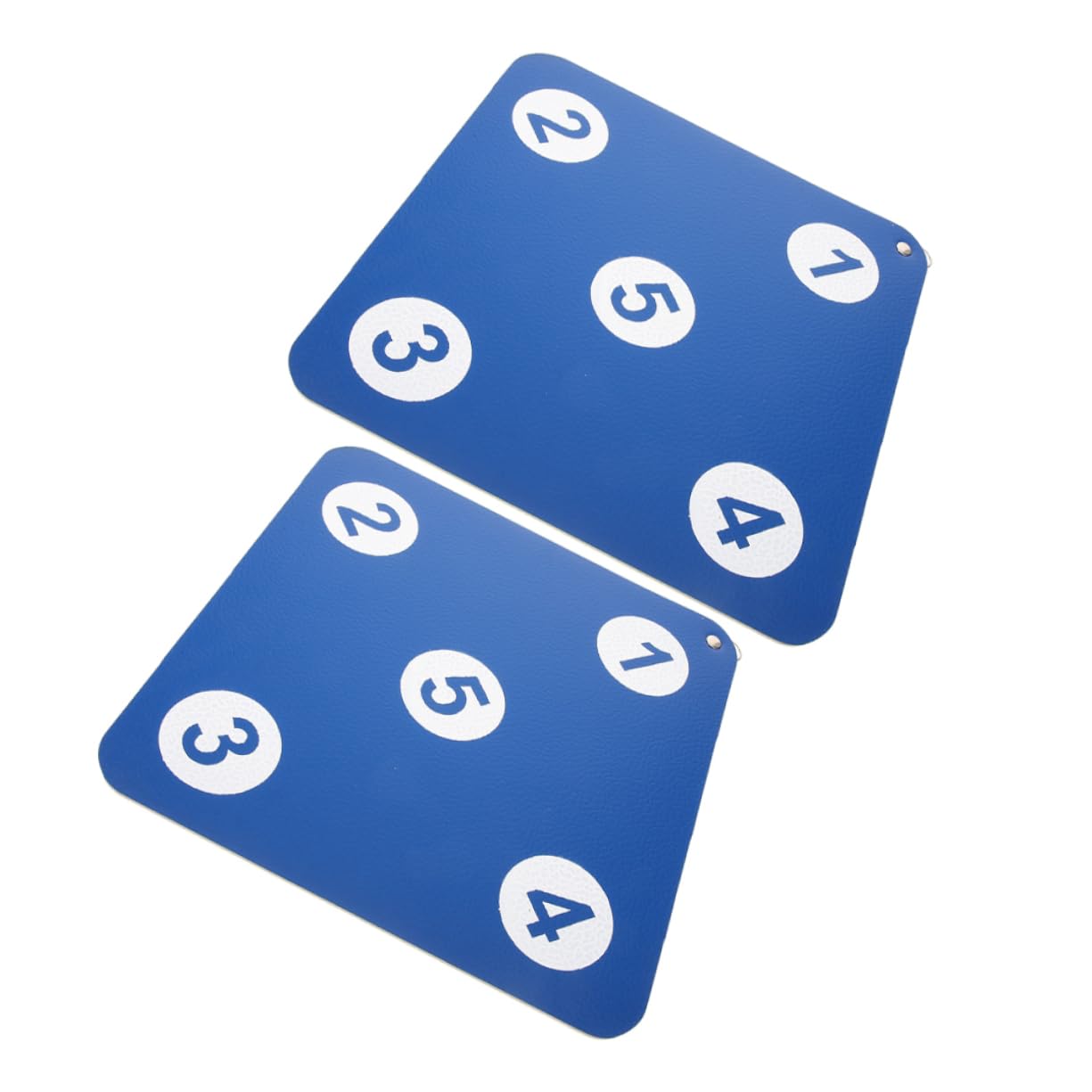 HONMEET Practice Fencing Target Sturdy Puncture-Resistant Dual-Sided Design for Indoor Fencing Sports