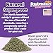 Pawbreakers® Vitanip® Catnip Cat Treats & Toys - Diamond V® Feline Nutritional Supplement – Safe & postbiotic Catnip for Cats | Cat Treats | Made in USA