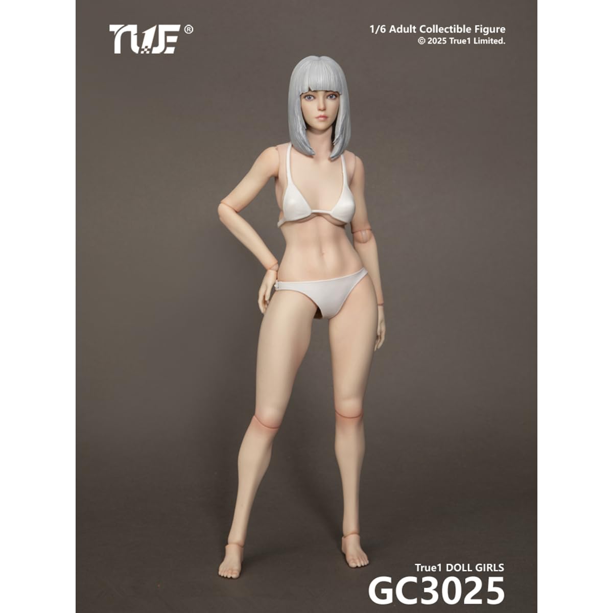 Amazon.co.jp: HiPlay True1Toys 1/6 関節素体 女性 素体 ヘッド付き