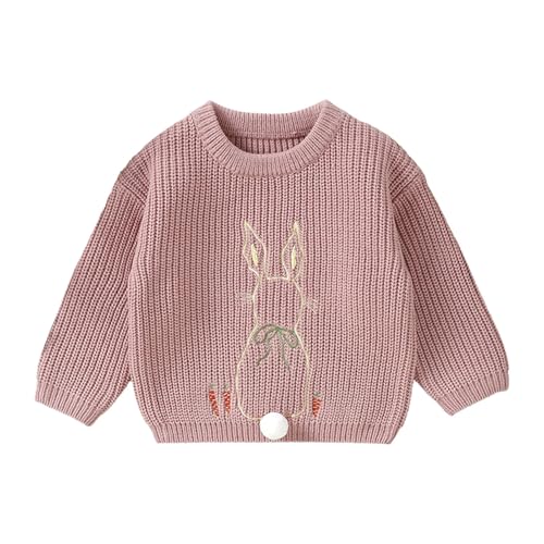RNTOP Toddler Baby Boys Girls Knit Sweater Pullover Bunny Crewneck Long Sleeve Blouse Tops Warm (Pink, 18-24 Months)