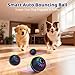 Pipihome Interaktives Hundespielzeug Ball, Hundeball Elektrisch Automatisch Rollender mit LED-Lichtern Spielball, Hundespielzeug Intelligenz für Kleine/mittlere/große Hunde, USB Wiederaufladbar