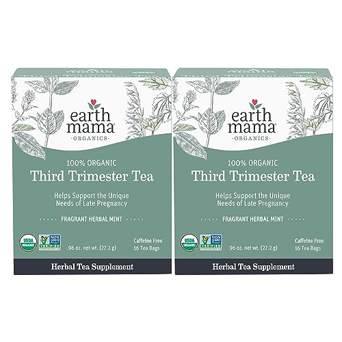 Earth Mama Organic Third Trimester Tea Bags | 100% USDA