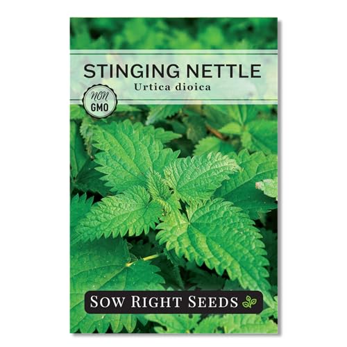 Sow Right Seeds - Stinging Nettle Seeds for Planting - Urtica Dioica - Non-GMO Heirloom Variety - Herb for Medicinal Tea & Salads - Easy to Grow Indoor/Outdoor - Gardening Benefits & More (1)