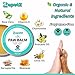Lick-Safe Organic Paw & Nose Balm for Dogs, Cats & More – All-Natural, Vegan, Hypoallergenic – Heals, Protects & Restores Dry, Cracked Dog Paws, Snouts & Elbows – Aloe, Avocado Oil, Beeswax – 1.75 oz