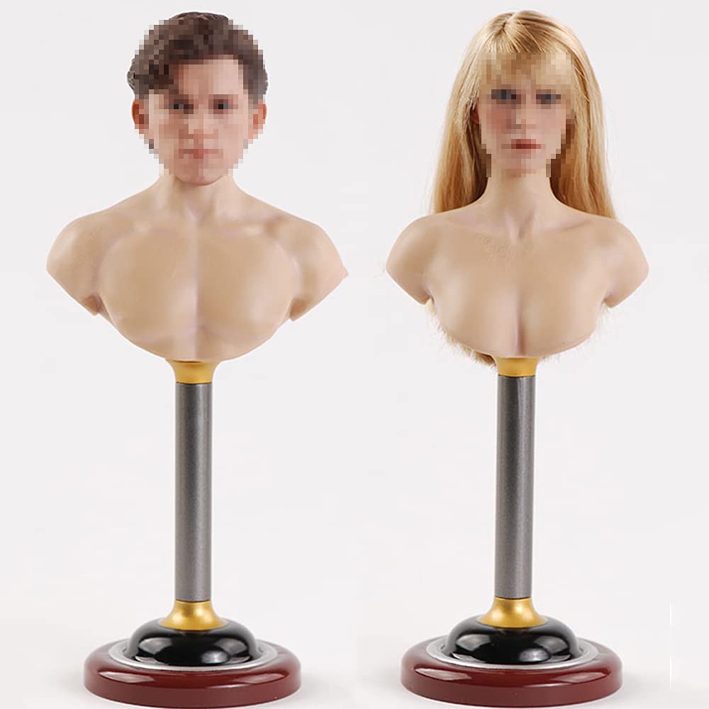 Hiplay Scale Figure Accessories The Bust For 12 Desertcart INDIA