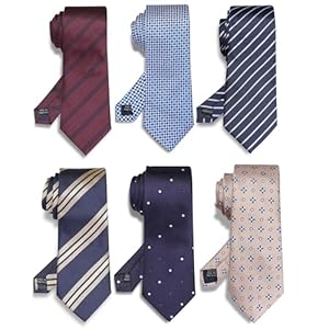 WeiShang Lot 6 PCS Classic Men’s Silk Tie Necktie Woven JACQUARD Neck Ties