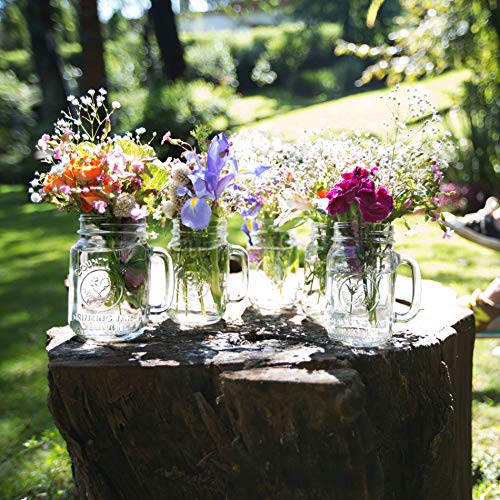 Libbey 97085 County Fair Glass Drinking Jars thumb #3