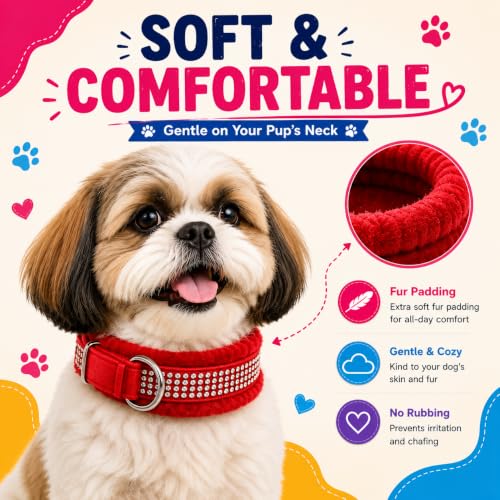 Image of Nylon Dog Neck Belt Collar Combo Set, Adjustable Size, Durable Material, Comfy Soft Fur Padded for 35+ Kilograms Dogs (XL, Blue, Red, Pack of 2)