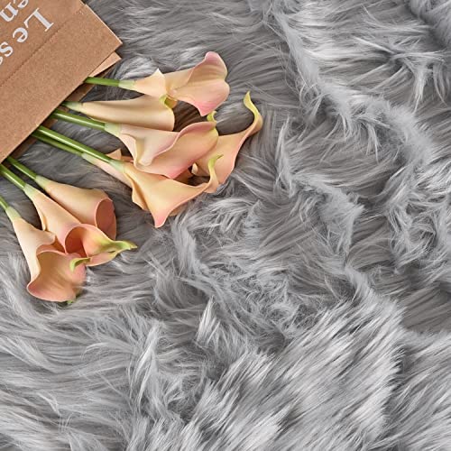 Latepis Gray Rugs for Bedroom Small Throw 3x4 Area Faux Fur Rug Washable Fluffy Sheepskin Rugs Bedside Fuzzy Rug for Luxury Home Decor