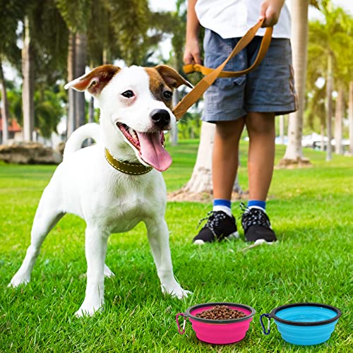 Image of 2-Pack Small Dog Travel Bowl, Collapsible Bowls for Dogs, Foldable Cat Water Bowl, Portable Pet Feeding Watering Traveling Dish (Pink & Light Blue)