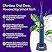 Burst Pro Sonic Advanced Electric Toothbrush for Adults (Blue) | Soft Bristles | 33,000 Vibrations | Long-Lasting Battery and Multiple Brushing Modes