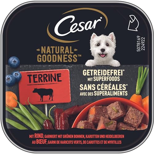 Cesar Natural Goodness Premium Hunde Nassfutter in der Schale Terrine Getreidefrei Superfoods mit Rind 16x100g