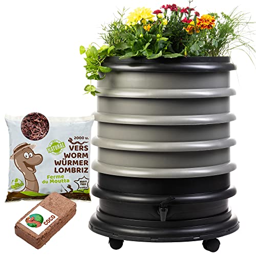 WORMbox | Wormery Worm Farm composter 4 Grey Trays + Planter + 1kg of Compost Worms / 2000 ctn + 1 Coco | 64 liters | Organic Waste Compost, make your Worm Castings