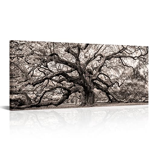 Image of OuElegent Sepia Angel Oak Tree Canvas Wall Art Charleston South Carolina Landscape Picture Artwork Framed Art For Home Living Room Bedroom Decor 20 inchx48 inch (Brown)
