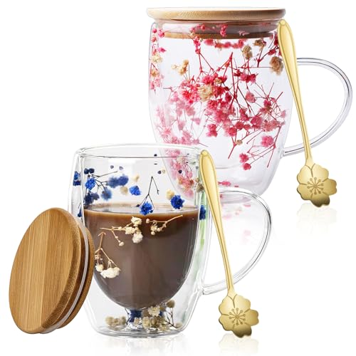 Verres à double paroi de 350 ml haut de gamme ornés de véritables fleurs séchées