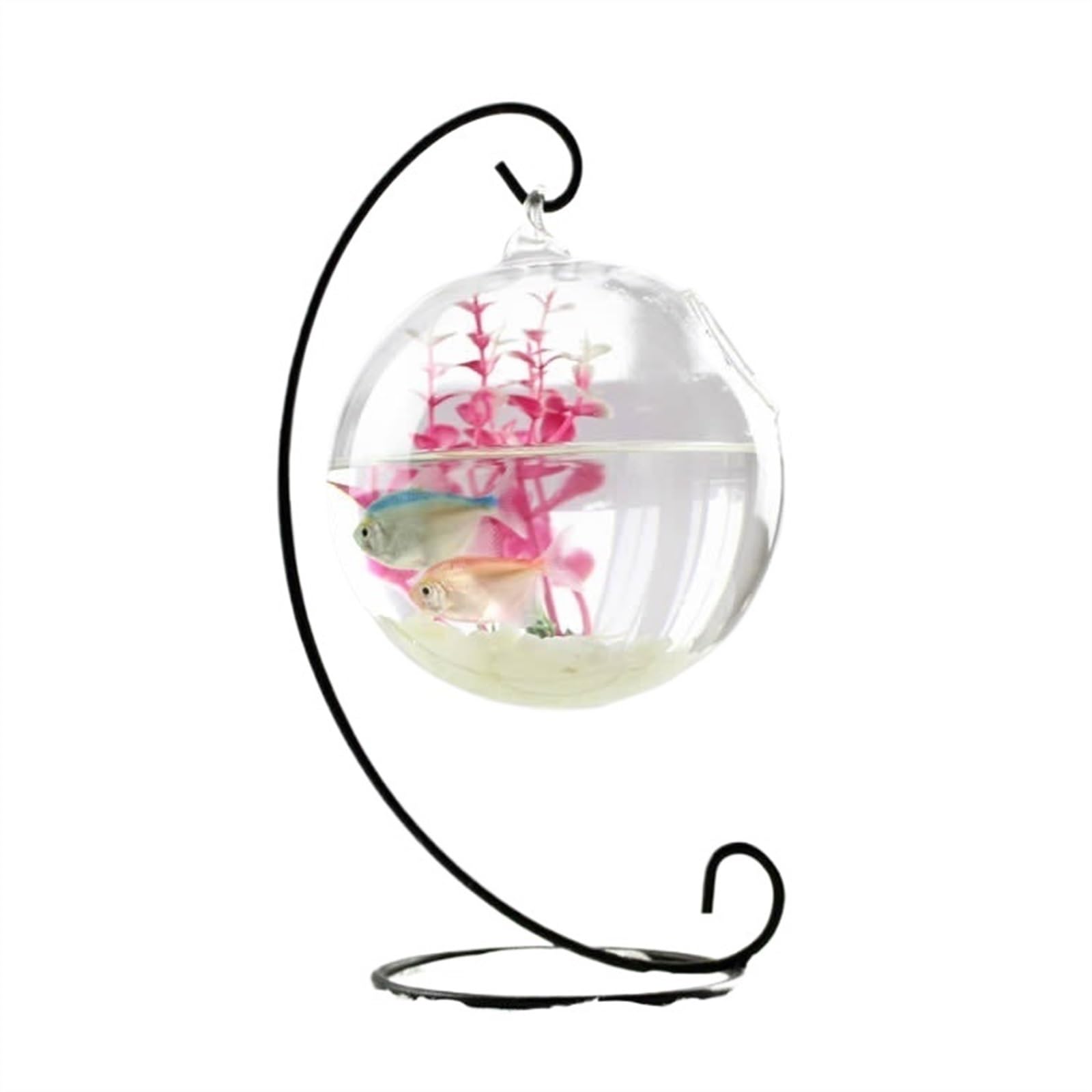 Acuario Peces de Lucha Transparente Colgante Acuario Escritorio Pequeño Acuario Pequeño Pez Dorado Pequeño Tanque de tanque de Acuario Cristal De Pesca(Negro,Medio)