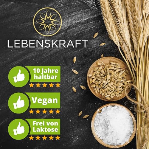 Langzeitnahrung Spezialsortiment Family - 12 Laibe gebackenes Dosenbrot und Kuchen im Großkarton | Frisch gebackene Brotlaibe | Emergency Food | Notvorrat | Notfallnahrung – Bild 6