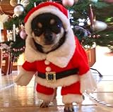 moldes disfraces para perros pequeños Ideal para mantener a sus mascotas peque?as abrigadas en Navidad con este conjunto festivo de Santa Hat & Scarf.