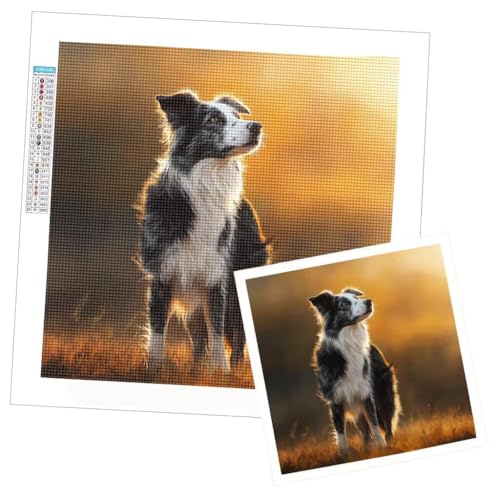 Diamond painting adulte photo personnalisée pour sublimer votre déco de salon