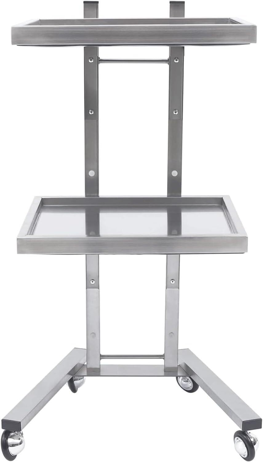 SSDDLZEQ Mobile Salon Station, Salon Trolley Stainless Steel Salon Rolling Cart 2 Tier Trolley Cart With Casters Salon Cart Storage Stand Utility Cart