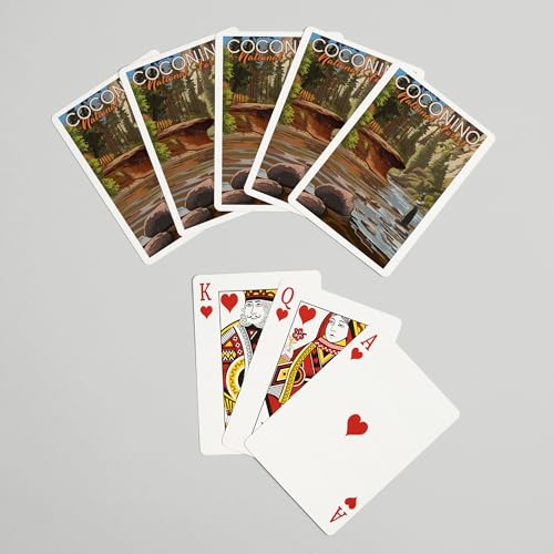 Baraja de Cartas Lantern Press Coconino Poker 52 Pzs miniatura 7