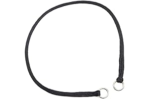 Mendota Petite Slip Collar: Your Dog's Stylish and Secure Companion