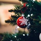 astro pneumatic ball joint press reviews  Holiday Hugs Ballad