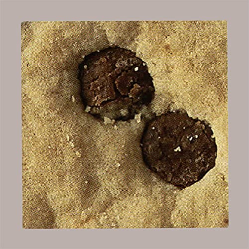 Lucgel Biscotto per Gelato Rotondo Cioccogel con Gocce di Cioccolato - 280 pezzi -