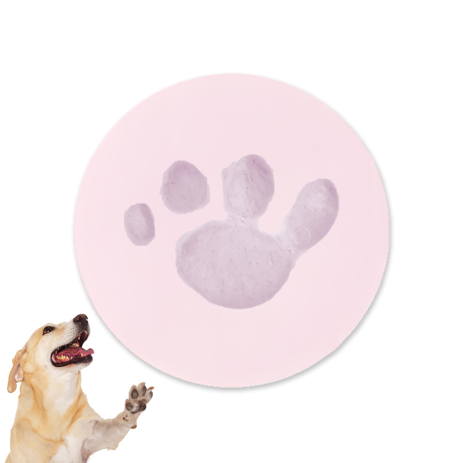 witeup Clay Pet Paw Impression Kit