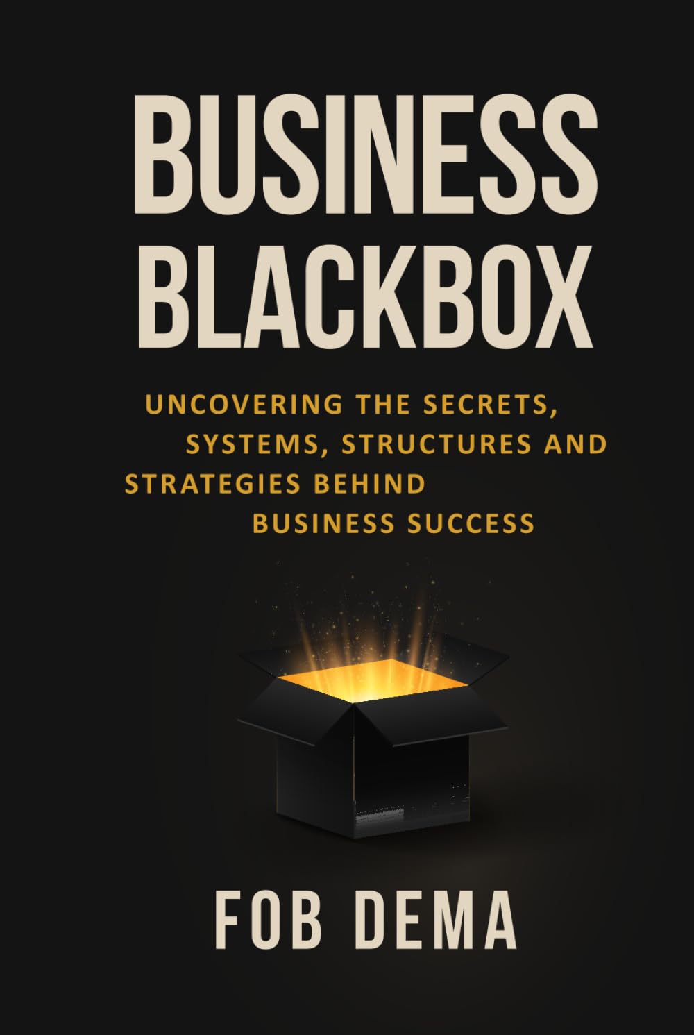 Business Blackbox: Uncovering The Secrets, Systems, Structures and Strategies Behind Business Success
