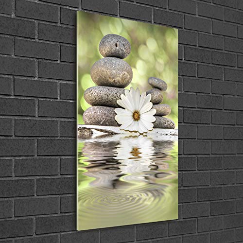 Image sur verre pour masquer un mur vide avec un décor panoramique vert