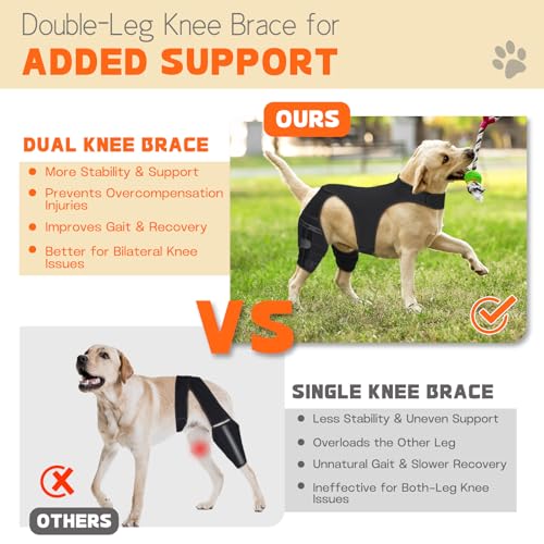 Image of Dog Knee Brace for Hind Legs - Adjustable Dual Dog Leg Brace for Back Leg Helps with Torn ACL /CCL, Luxating Patella, Ligament Injuries, Osteoarthritis,L