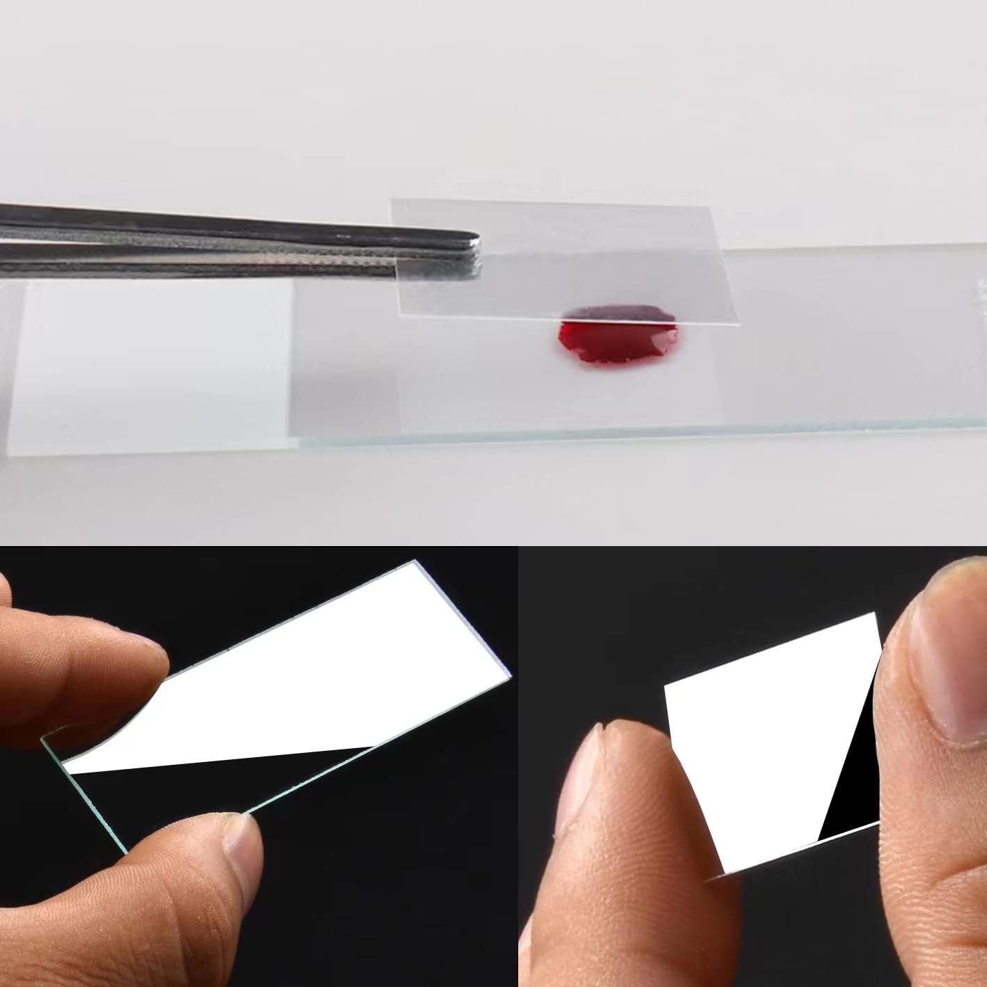 50 Pezzi Vetrini Microscopio con Bordo Molato 76x25mm e 100 Pezzi Vetrini Coprioggetto Pre-Puliti 18x18mm per L'educazione Scientifica di Base
