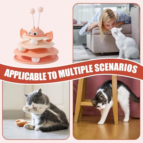 Jeux interactifs pour enrichir la stimulation mentale du chat d'intérieur - 5