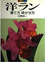 Amazon.co.jp: 江尻光一: 本