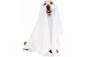 Halloween Ghost Dog Costume: Perfect for Spooky Canines