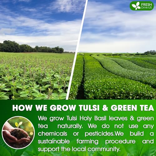 Image of FreshDrinkUS, Premium 75 Tulsi Green Tea Bags, 100% Natural, Blend of Tulsi Holy Basil Leaves, and Green Tea Leaves. Made with Natural Material Tea Bags. No Sugar, Vegan.
