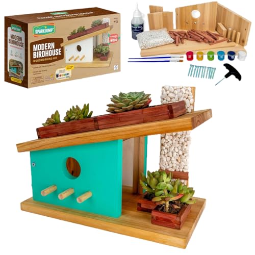 SparkJump Modern Birdhouse Woodworking Kit, Complete DIY Birdhouse for Kids & Adults, Build Your Own BirdhouseKit for Creative Woodworking Crafts