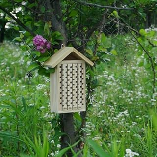 Mason Bee House,JZDF Bug Hotel,Bug Hotel,Carpenter Bee House for The Garden,Leaf Cutter Bees House