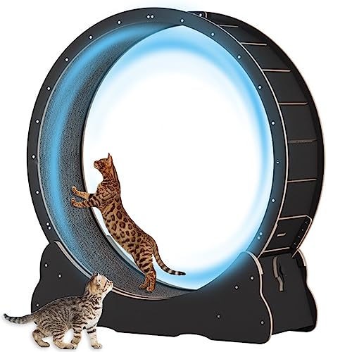 Amazon Best Sellers Best Small Animal Exercise Wheels