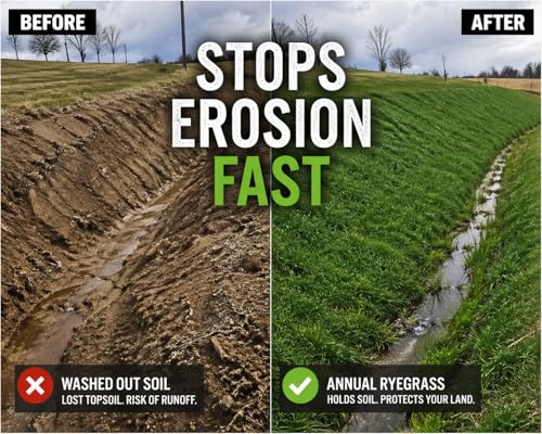 Grass Seed Blends For Erosion Control On Slopes
